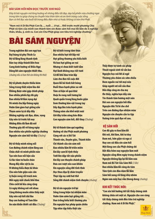 to bai sam hoi nen doc truoc khi ngu