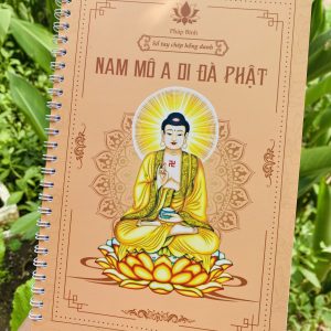 vo chep kinh hong danh adida phat 2