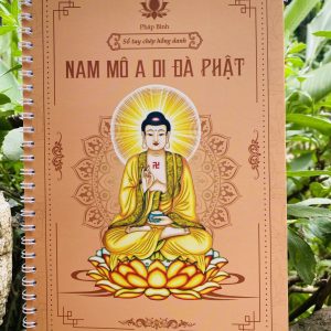 vo chep kinh hong danh adida phat 1