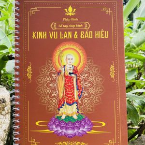 vo chep kinh vu lan bao hieu 2