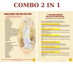 combo 2in1 to kinh quan the am
