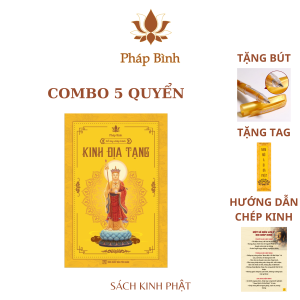 combo 5 so chep kinh dia tang in net mo tieng viet