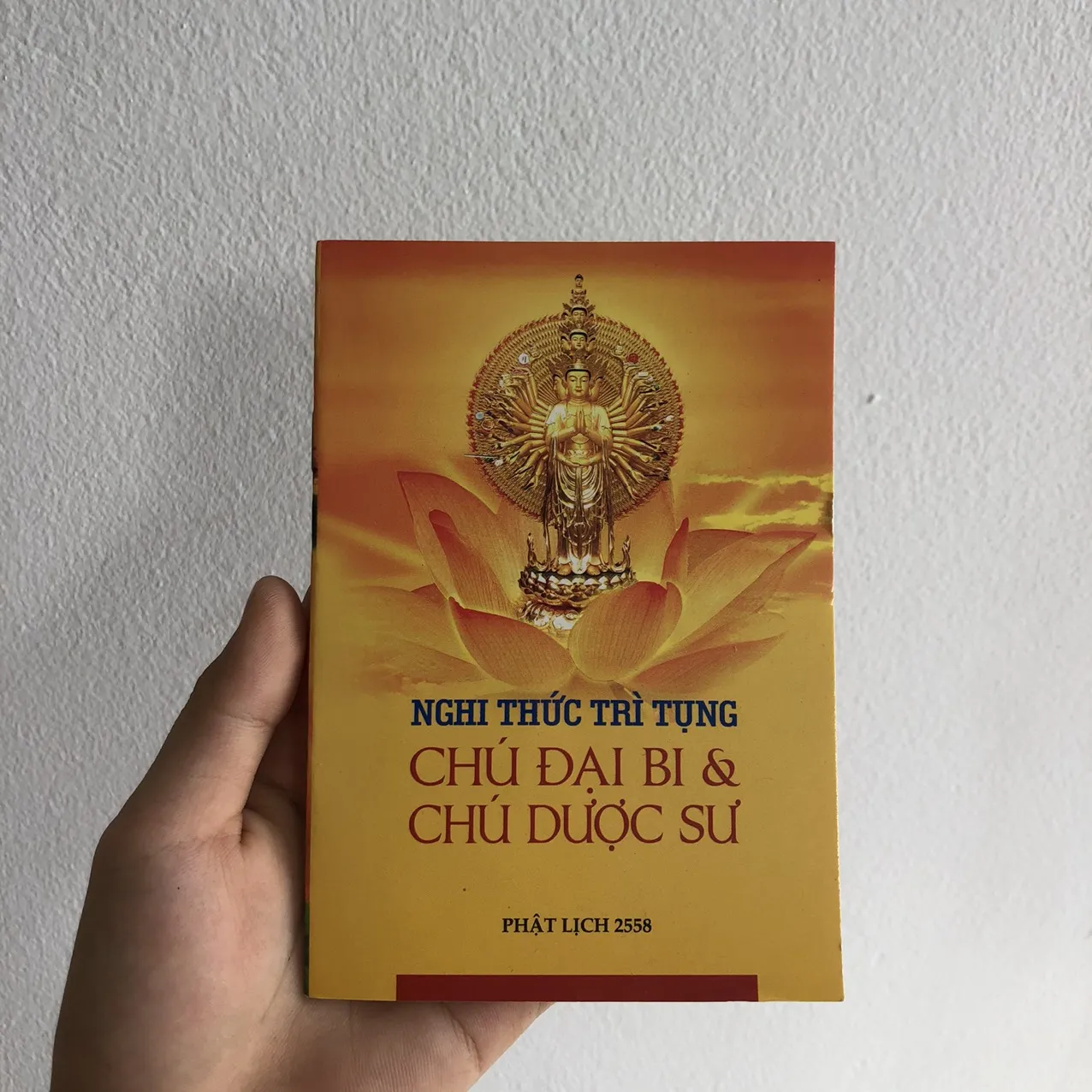 nghi thức trì tụng chú đại bi, chú dược sư 1