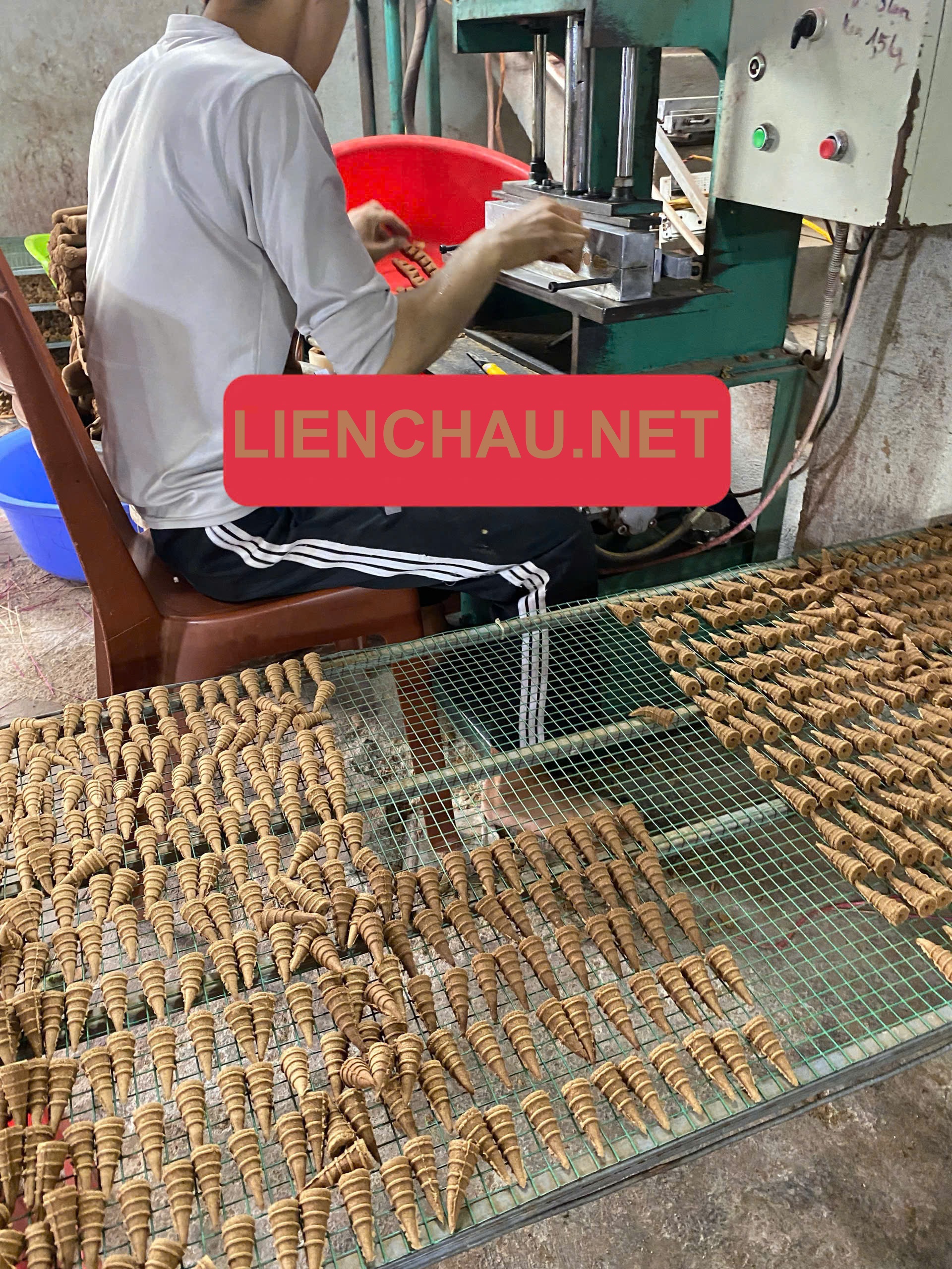 nụ thảo dược 1